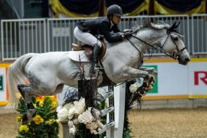 Close up horse jumping photo indoor