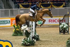 The Royal Horse Show photographer David Reid