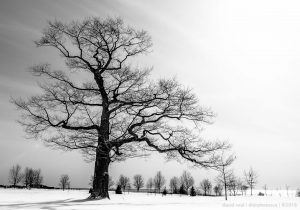 Best stock images by photographer David Reid