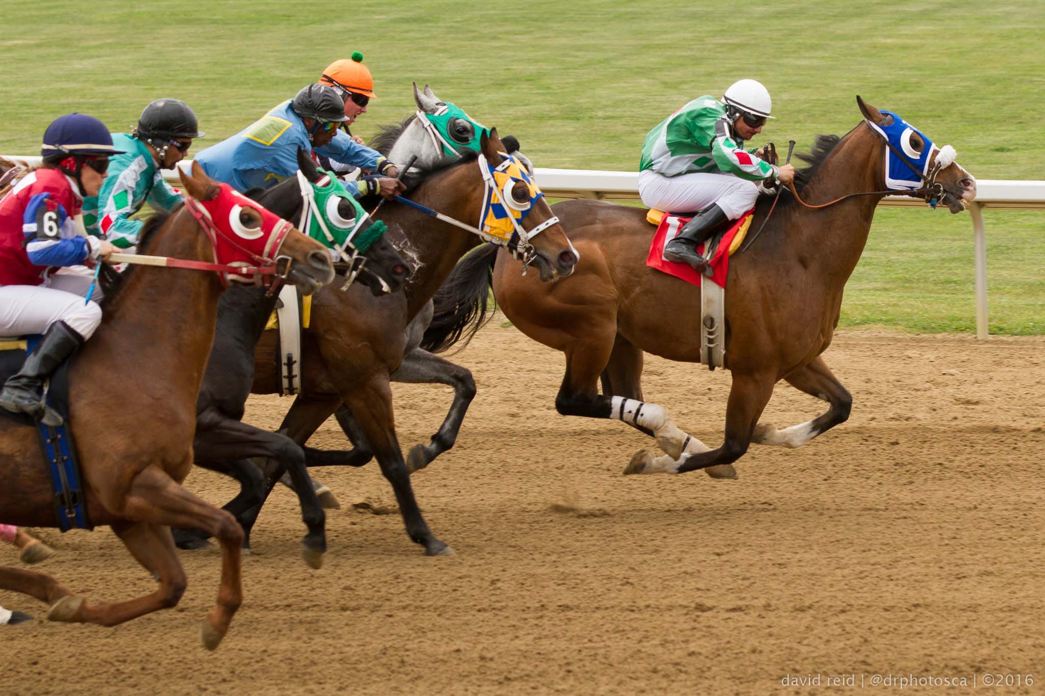 Tips for taking horse racing photos