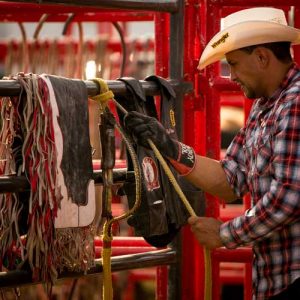 Rodeo photographer