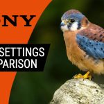 SONY A7 series and A1 video settings comparison chart