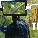 External Camera Monitor Screen for Bird and Wildlife Photography