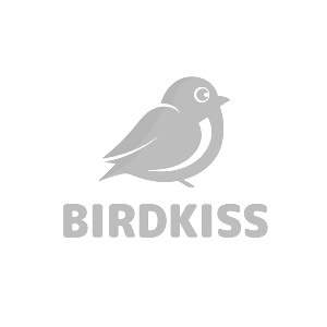Bird-Wildlife-Collaboration-13