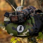 How to Use a Camera Bag for Bird and Wildlife Photography
