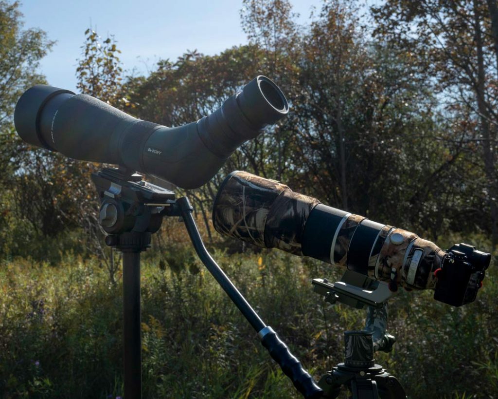 Best budget spotting scope for bird watching or bird photography